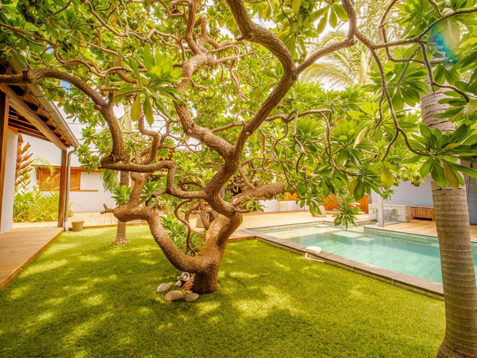 La Kaz Veloutier - Villa 4 Chambres Avec Piscine La Saline Le Bains Bagian luar foto